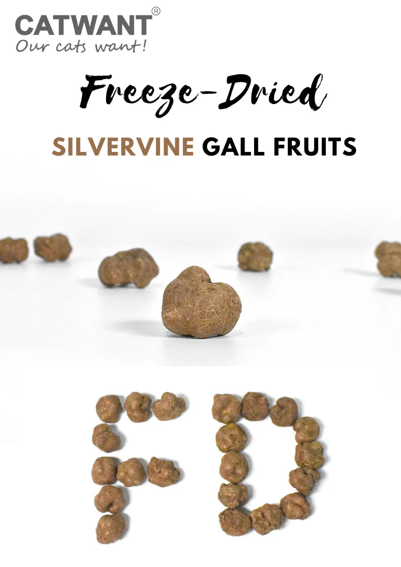 Catwant Freeze-Dried Silvervine Gall Fruits 貓咪旺農場 蟲癭果 20g 加拿大版