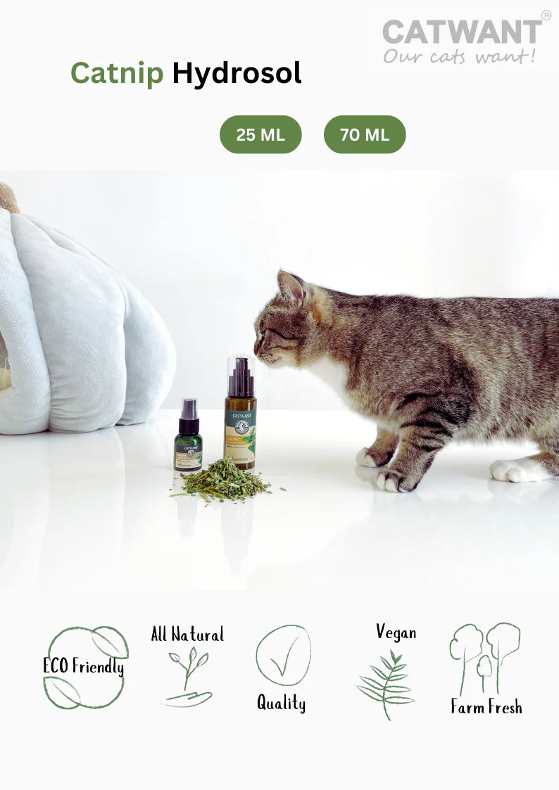Catwant 貓咪旺農場 CATNIP HYDROSOL 貓薄荷 純露 70ml  加拿大版