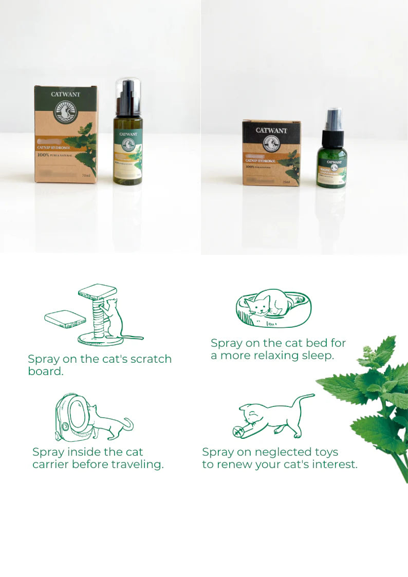 Catwant 貓咪旺農場 CATNIP HYDROSOL 貓薄荷 純露 70ml  加拿大版
