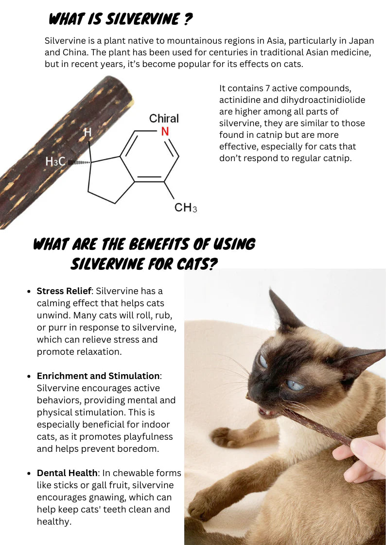 Catwant 貓咪旺農場 木天蓼 潔牙棒  Silvervine Stick mixed size 50g 加拿大版