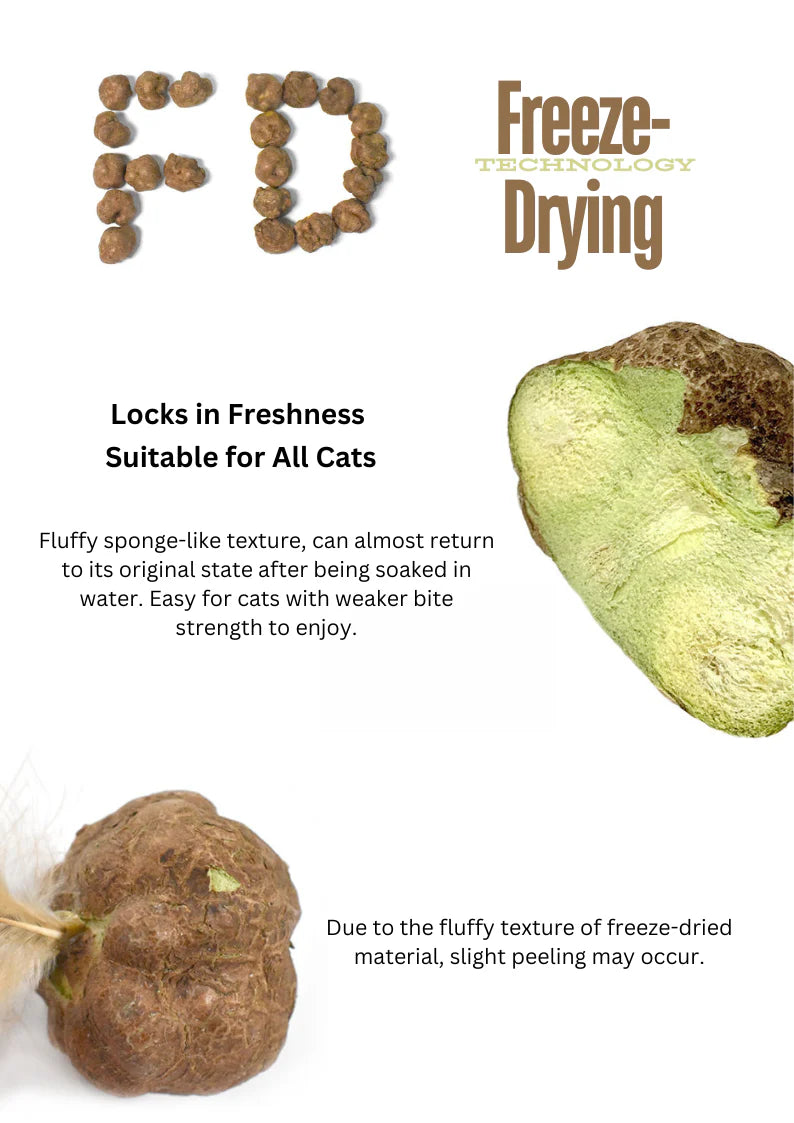 Catwant Freeze-Dried Silvervine Gall Fruits 貓咪旺農場 蟲癭果 20g 加拿大版