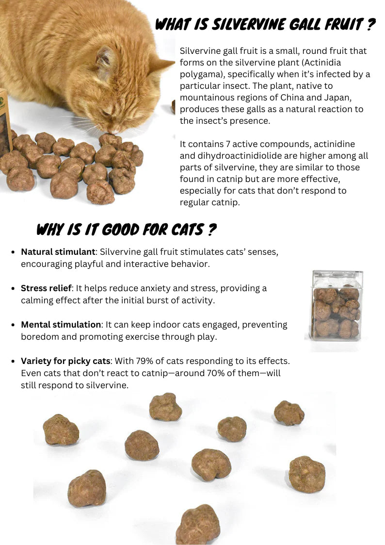 Catwant Freeze-Dried Silvervine Gall Fruits 貓咪旺農場 蟲癭果 20g 加拿大版