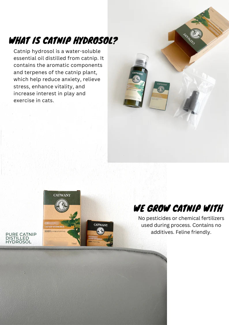 Catwant 貓咪旺農場 CATNIP HYDROSOL 貓薄荷 純露 70ml  加拿大版