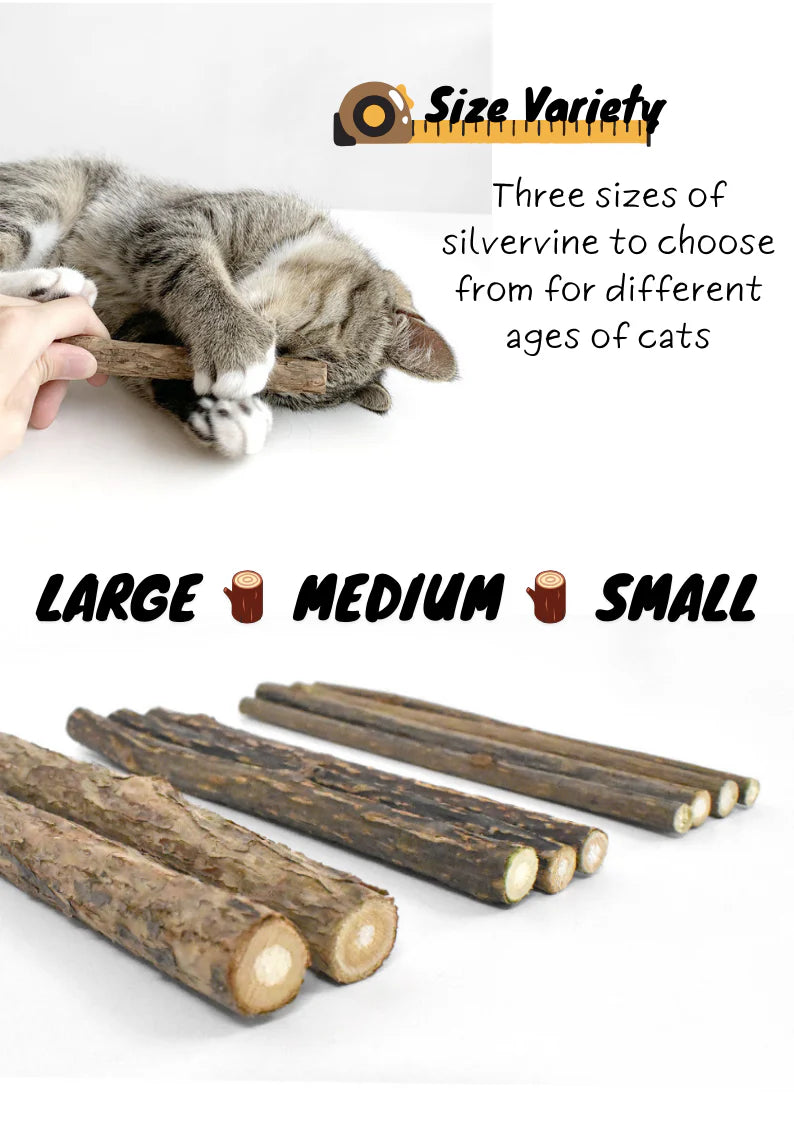 Catwant 貓咪旺農場 木天蓼 潔牙棒  Silvervine Stick mixed size 50g 加拿大版