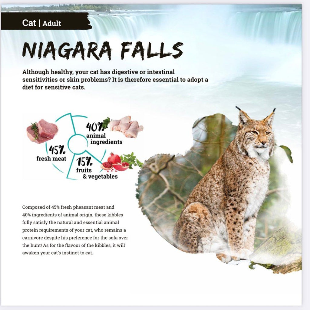 Natura wild - Niagara Falls grain free cat food 無穀類 貓糧 乾糧 Rich in pheasant meat
