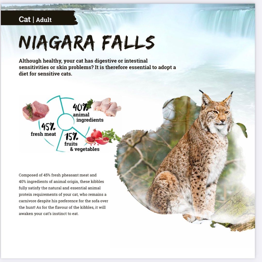 Natura wild - Niagara Falls grain free cat food 無穀類 貓糧 乾糧 Rich in pheasant meat