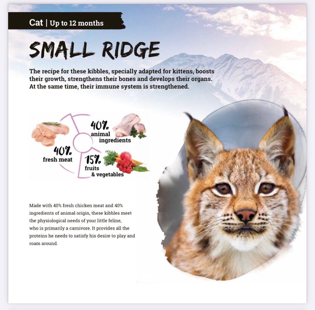 Natura wild - Small Ridge grain free kitten cat food 無穀類 貓糧 乾糧 chicken meat