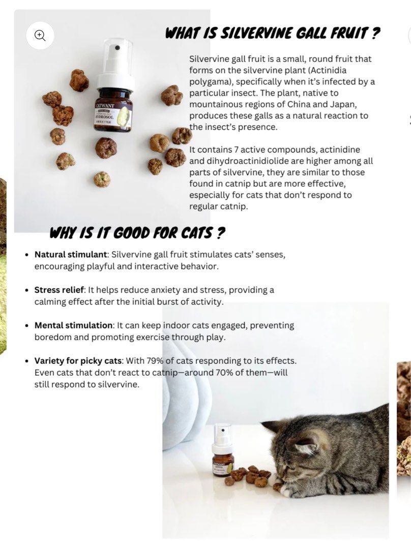 Catwant 貓咪旺農場 木天蓼純露舒緩液 Freeze-Dried Silvervine Gall Fruit Hydrosol – 35ml 加拿大版