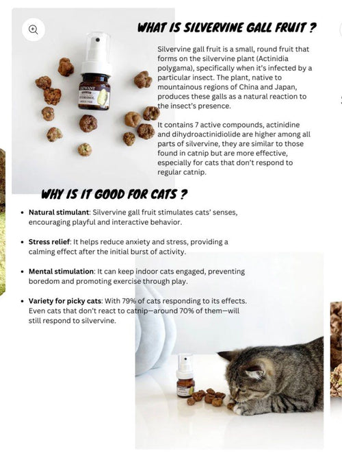 Catwant 貓咪旺農場 木天蓼純露舒緩液 Freeze-Dried Silvervine Gall Fruit Hydrosol – 35ml 加拿大版